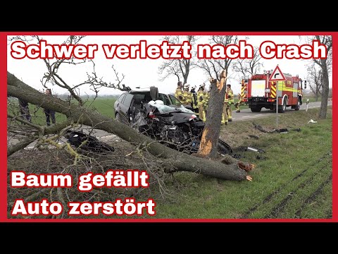 ❌AUTO FÄLLT BAUM❌Schwerer Unfall auf Landstraße bei Trebsen⚠️Schwerverletzt in Klinik geflogen🆘️