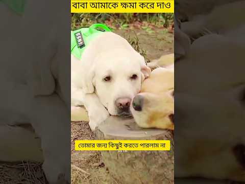 বাবা আমাকে ক্ষমা করে দাও আমি  তোমার জন্য কিছুই করতে পারলাম না 😭 #shorts #youtubeshorts #dog