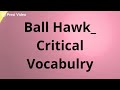 Understanding Literary Elements in 'Ball Hawk'