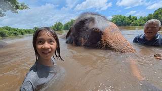 ตกใจมาก เจอช้างเล่นน้ำ | บริ้งค์ไบรท์