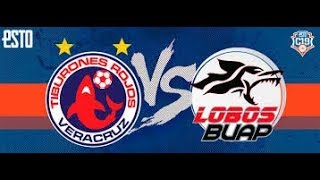 Veracruz vs Lobos Buap Resumen
