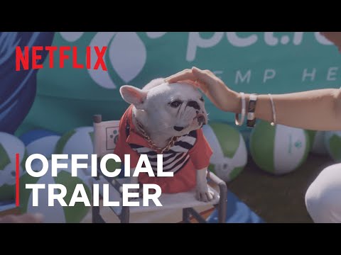 Pet Stars | Official Trailer | Netflix