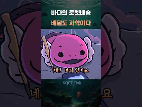 로켓배송만큼 빠른 황새치의 속도 비밀