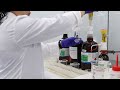 Esterification and Distillation Processes