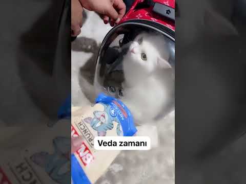 Vedalaştık 🥺