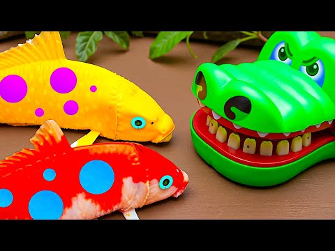 Crocodile Fish Traps Koi, Colorful Eel In Mud, Carp, Crabs, Eggs 💕 Stop Motion ASMR CoCo