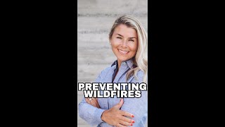 Why Some Experts Say Wildfires Could Be Prevented