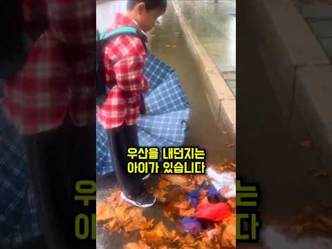 비오는데 우산 던지고 이러는 아이 #따뜻한세상 #좋은사람들 #일상의영웅 #감동영상 #착한사람