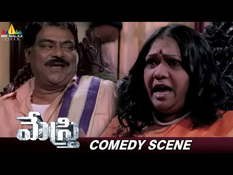 Telangana Shakuntala and Kota Srinivasa Rao Super Comedy Scene | Mestri Movie | Telugu Comedy Scenes