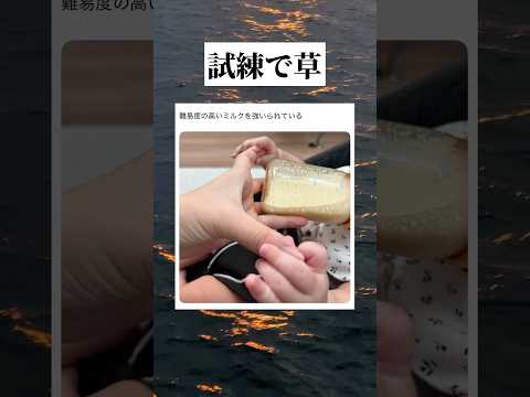 ミルクの試練 #tiktok #tiktokvideo #youtube #shorts #youtubeshorts #おすすめ #面白い#おもしろ #写真 #育児 #赤ちゃん #子育て #草