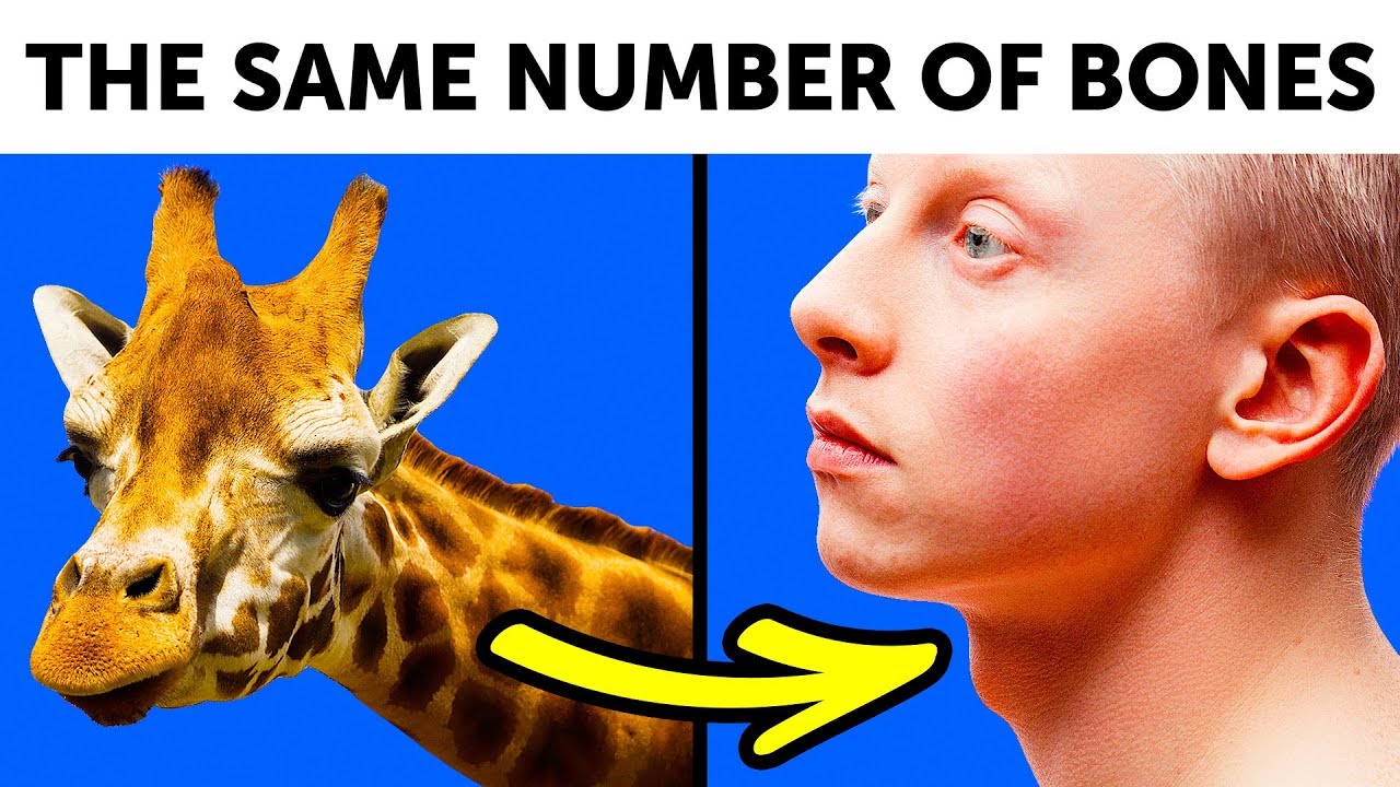 50 Facts only the most knowledgeable People know