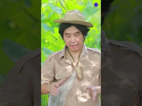 ของอ้ายเขยบ่น้อย #ขำขัน#สนุก#ตลก #ไทเดอะซีรี่ส์ by Starsky #comedy #funny