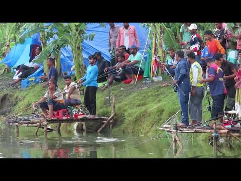 Big catla fish hunting in village fishing competition