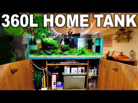 Building A Home Community Aquarium (EP5)