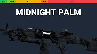 M249 Midnight Palm Wear Preview