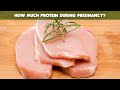 Understanding Protein Needs During Pregnancy