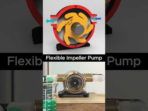 Flexible Impeller Pump  #mechanical #engineering #pump #jacobpump #mechanism #mechanic #3ddesign