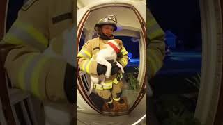 Doorbell Cam Captures Firefighter Returning Lost Dog — Sweet & Real Moment 🐶🚒