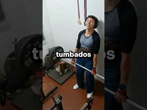 Sus gatos se sentaron debajo de la barra