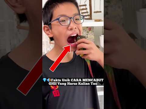 💎🔊Fakta Unik CARA MENCABUT GIGI BIAR TIDAK SAKIT Yang Harus Kalian Tau #facts #viralvideo #faktaunik
