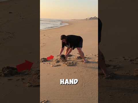 This woman found a crab in the ocean and then saved its life 🦀💙 #shorts