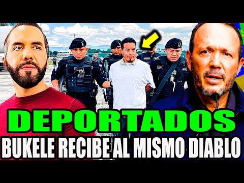 DEPORTACIÓN BRUTAL🚨 P4NDILLEROS SUPLICA PERDÓN. BUKELE PIDE PRISIÓN POR SIEMPRE