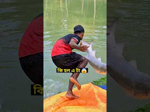কি হল এ টা 😱                          #shorts #viral #japan #usa #uk