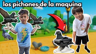 Los brainrot  fuimos a dar de comer alas palomas 