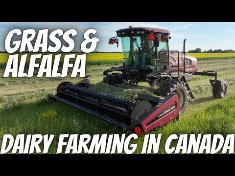Making Hay While The Sun Shines!