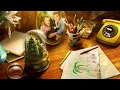 Video für Bridge to Another World: Flucht aus Oz