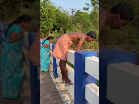 കിട്ടിയാൽ ഊട്ടി ഇല്ലേ ചട്ടി #fishing #netcasting #trending #happy #viralvideo #nature #shorts #whats