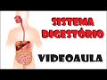Processo de Digestão e Nutrientes
