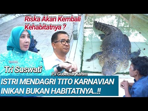 AMBO TEMANI ISTRI TITO KARNAVIAN MENDAGRI KEPENANGKARAN,RISKA KEMBALI KEHABITATNYA❓