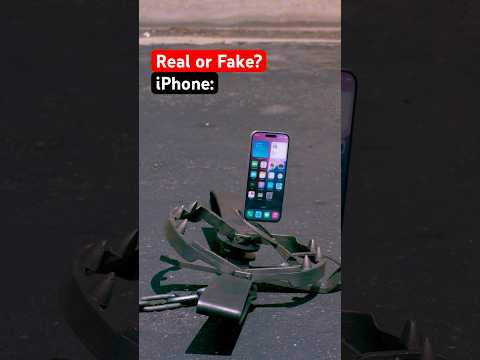 Is it real or fake? 🤔