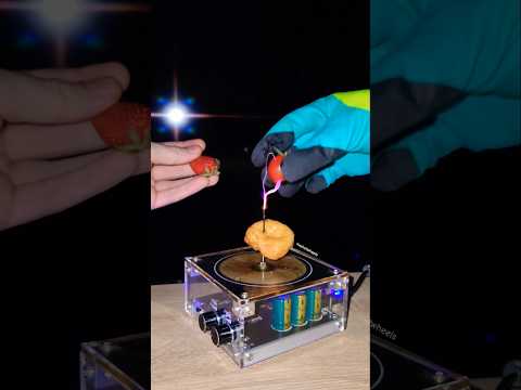 🍩 Mix: doughnut + tomato + strawberry + tesla coil #experiment #fruit #physics