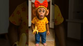 wow so cute 🥰🐒❤️😍