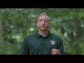Invasive Insects and Their Impact