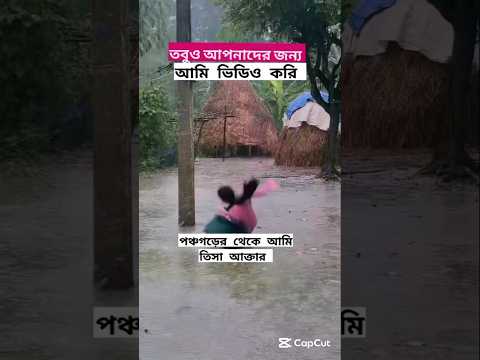 চলো সবাই আমরা বোকাদের  আস্তানায় যাই। #comedy #shorts #funny #shortsfeed