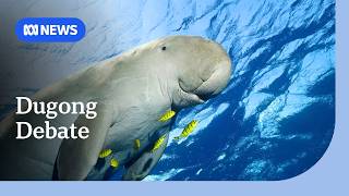 YouTube video thumbnail: Commercial Fishers Deny Damage to Dugong Populations in the Gulf of Carpentaria