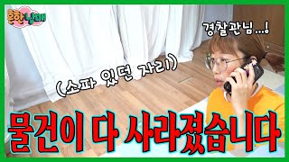 소파, 책상, 흔둥이 자몽이 전부 훔쳐갔습니다....