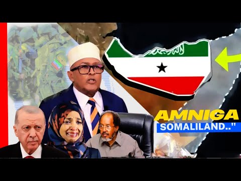 Xog 5 Qodob Halista Amniga Somaliland ,Digniinta ,Dilalka Iyo Khatarta Dawladaha Shisheeye