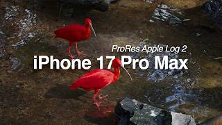iPhone 17 Pro Max filmando em ProRes Apple Log 2