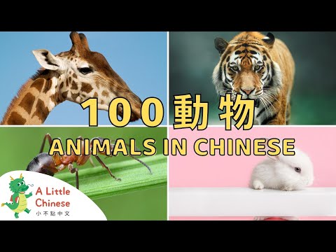 100 Animals in Chinese | 一百種動物的中文名稱 | Educational Video For Kids to Learn Chinese - YouTube(16:11)