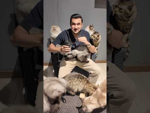 كافيه القطط في جدة 🐈🐈‍⬛#عبدالعزيز_اكرم