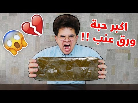 اكلت اكبر حبة ورق عنب "دولمة" بالعالم !!! (حطمت الرقم القياسي) CHALLENGE
