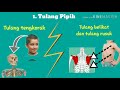 Jenis dan Fungsi Tulang Manusia
