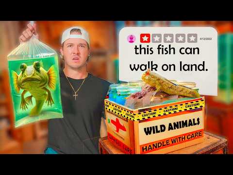 I Bought Real Live Fish Scam Ads...