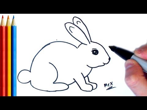 How to Draw Rabbit (easy) - Step by Step Tutorial - YouTube