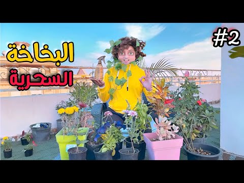 لما الزرع يتكلم 🤯🌿 ( مسلسل شوقي في ورطة الحلقة 2  )