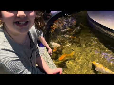 We Pet A Shark At The Aquarium !